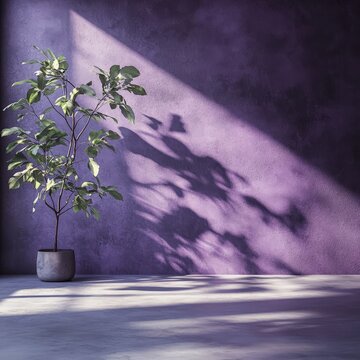 A purple studio backdrop with tree shadows, offering a vibrant and artistic setting for product presentations or creative photography.
