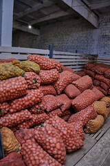 Potato storage warehouse
