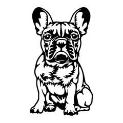 French Bulldog Dog Breed - Pet Vector Cut file, Dog Silhouette Stencil - Cricut file