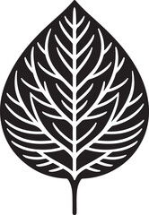 Fototapeta premium black and white leaf