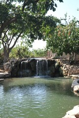Naklejka premium Serene Waterfall Scene in a Lush Tropical Garden Paradise