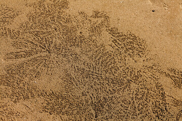 sand texture background