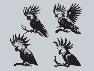 Bird silhouette vector art illustration file 