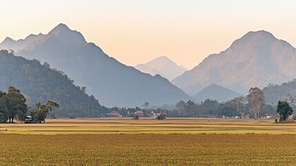 Mountainous landscape, rice paddy, hazy dawn. Scenic rural view. Ideal for travel, nature, or landscape photography.
