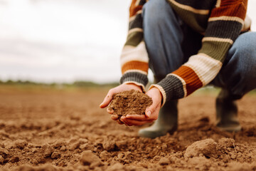 Women's hands sort through black soil in the field. Farmer is checking soil quality before sowing. Ecology, agriculture concept.