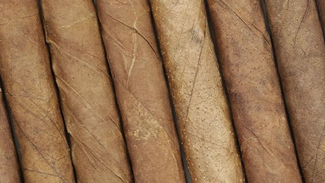 plusieurs petits cigares, en gros plan
