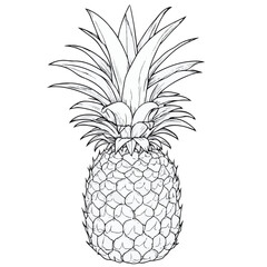Obraz premium Pineapple Icons: From Simple Silhouettes, Colorful Icons, and Fun Characters to Adorable Mascots.