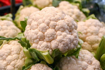 Cauliflower at the market. Fresh and ripe cauliflower heads for sale in the store.
