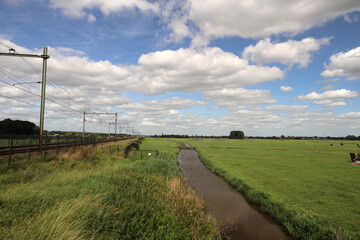 Fototapeta premium Remaining peat fields in the part of the Zuidplaspolder polder where construction cannot take place due to low water levels