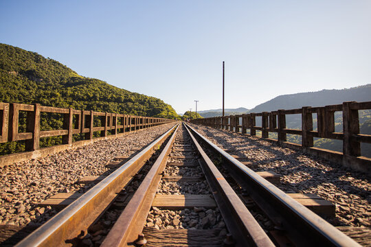 Timeless Railway Tracks Winding Through Nature