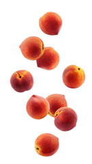 Falling Peach isolated on white background, full depth of field