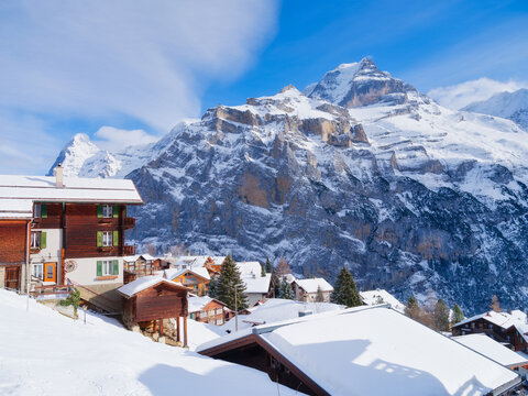 รูปภาพMurren – เลือกดูภาพถ่ายสต็อก เวกเตอร์ และวิดีโอ4,900 | Adobe Stock