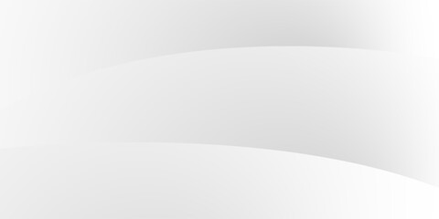 Abstract minimalist white and gray curve modern background. texture white pattern. vector illustration