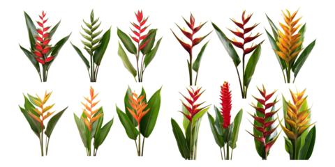 Vibrant Tropical Plants Collection with Various Green and Colorful Leaves
