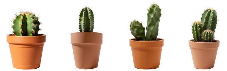 Collection of various cactus plants in pots isolated on transparent background.