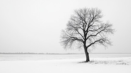 Fototapeta premium Lone tree in snowy field, monochrome winter landscape.