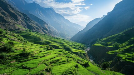 Naklejka premium Breathtaking Mountain Valley with Lush Terraced Fields