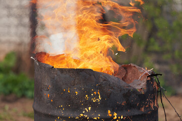 A burst of tongues of flame in a rusty barrel from the burning of fallen leaves.