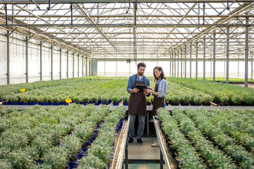 Man and woman working in greenhouse and discussing something