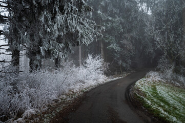 Scenic Winter Road into Forest Mist, Germany