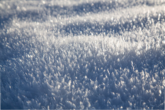Hoar frost. Closeup. Nature phenomenon. Ice landscape. Winter weather. Wonderful surface. Wonderland.