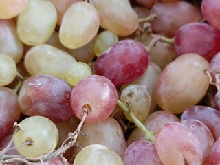 close view of fresh grapes in shades of red and green with a natural outdoor background