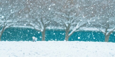 water splash in the pool