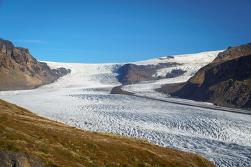 Stunning glacier tongue of Skaftafellsjökull in Iceland, surrounded by rugged cliffs and colorful vegetation