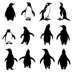 Naklejka premium A group of penguins standing side by side in a natural setting