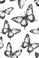 Black and White Butterflies