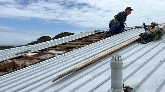 Man wearing a harness and earmuffs walking on the wooden battens of a timber framed roof structure in the middle of a roof repair job in New Zealand