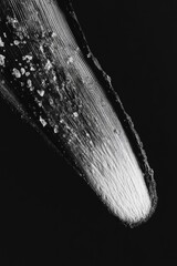 Black and White Knife