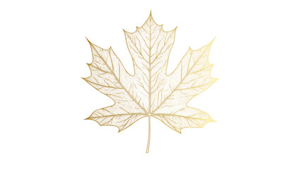 Golden maple leaf line art isolated on white background