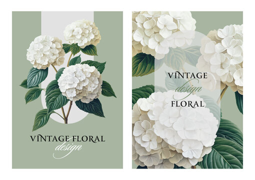 Vintage vector illustration with white hydrangea flowers on a changeable background. Floral design template for wedding invitation, greeting card, notebook cover, flyer or certificate.
