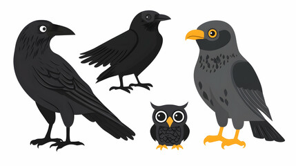 Fototapeta premium Cartoon crows and owl illustration set on white background.
