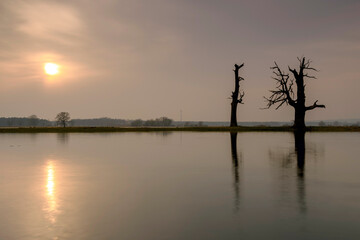 Landscape in the park. Old trees.