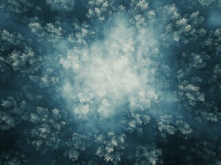 A drone captures a top-down view of a snowy woodland with a frozen river below..Over a snowy woodland and a frozen river, a drone provides a breathtaking aerial perspective..The drone offers a top