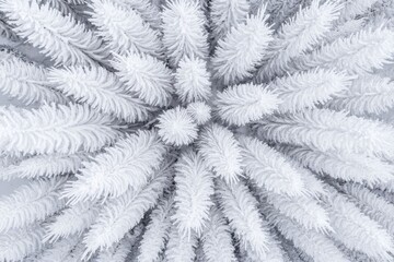 An aerial perspective of the snowy Yuba Pass and its forest in California, United States..A bird's-eye view of the snow-covered Yuba Pass and its surrounding forest in California, United States..A