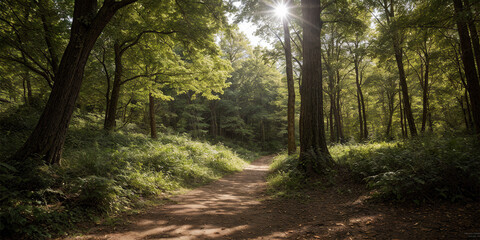 Obraz premium Calm Outdoor Nature Hike in Forest Trees and Hiking Path on the Appalachian Trail in Smoky Mountains Background Green Foliage Desktop Wallpaper 6