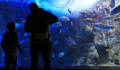 Fototapeta premium pareja padre e hijo mirando los peces en el aquarium de donostia san sebastian 4M0A4842-as25