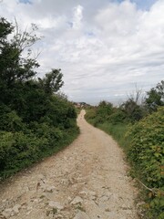 Little road in pure nature
