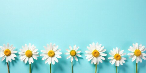 Obraz premium Serene row of daisies on a light blue background, perfect for spring or summer designs