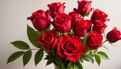 Vibrant red roses bouquet against light background
