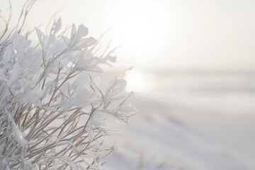 Obraz premium A bundle of white flowers in a snowy landscape