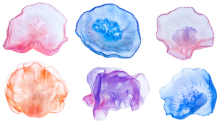 Jellyfish with soft glowing textures and vibrant tentacles isolated on white background