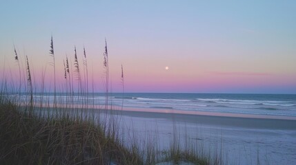 Coastal sunset, moonrise over ocean beach, dunes