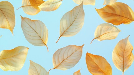 Autumn transparent leaves over blue background