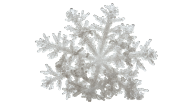 Macro shot of a snowflake in a winter landscape isolated on white background