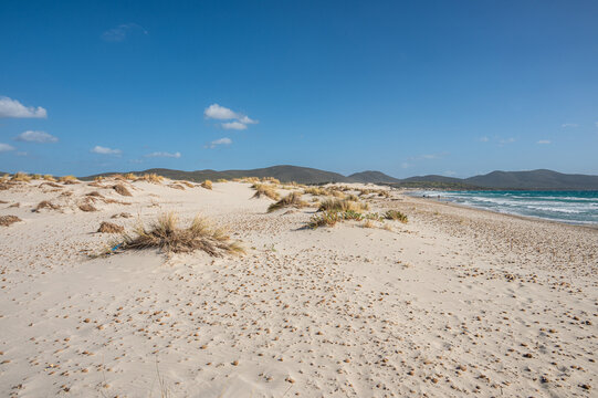 The beautiful beach of Is Solinas in Sardinia with its high white dunes on a windy day