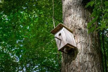 a bird nesting box hanging on a tree